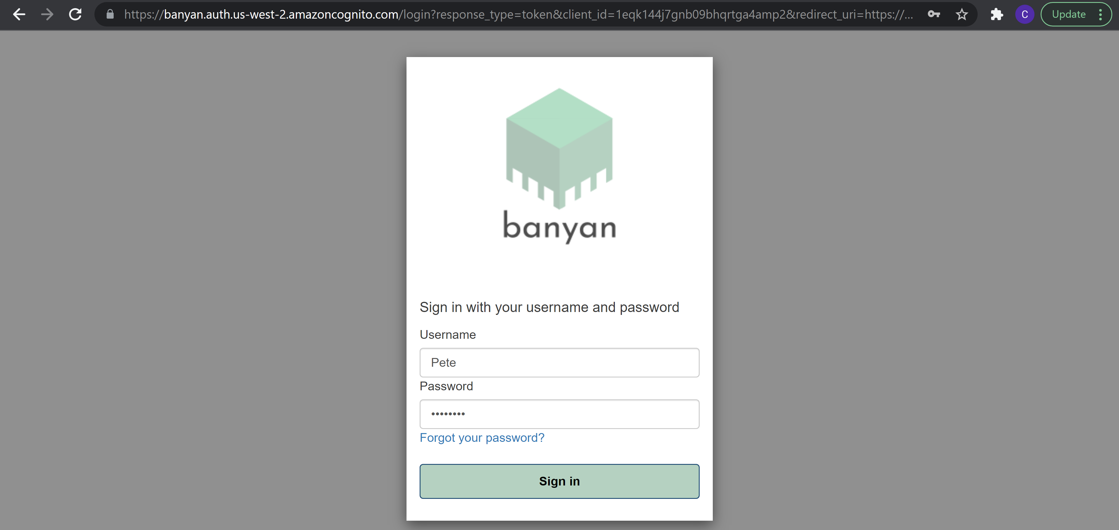 Page to sign into the Banyan dashboard